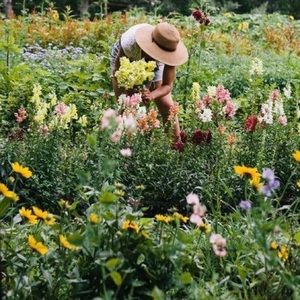 Meet your Posher, Abigail